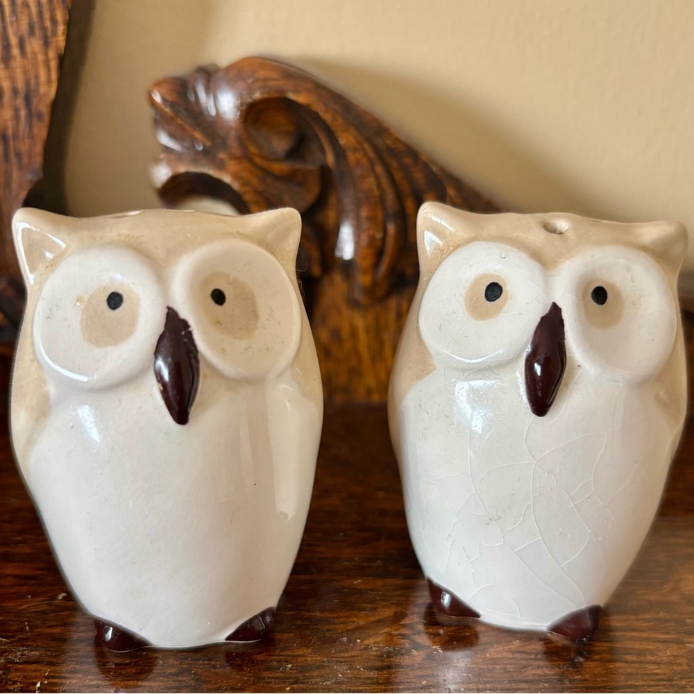 Vintage Whimsical Tan Ivory Black Hand-painted Owl Salt & Pepper Shakers